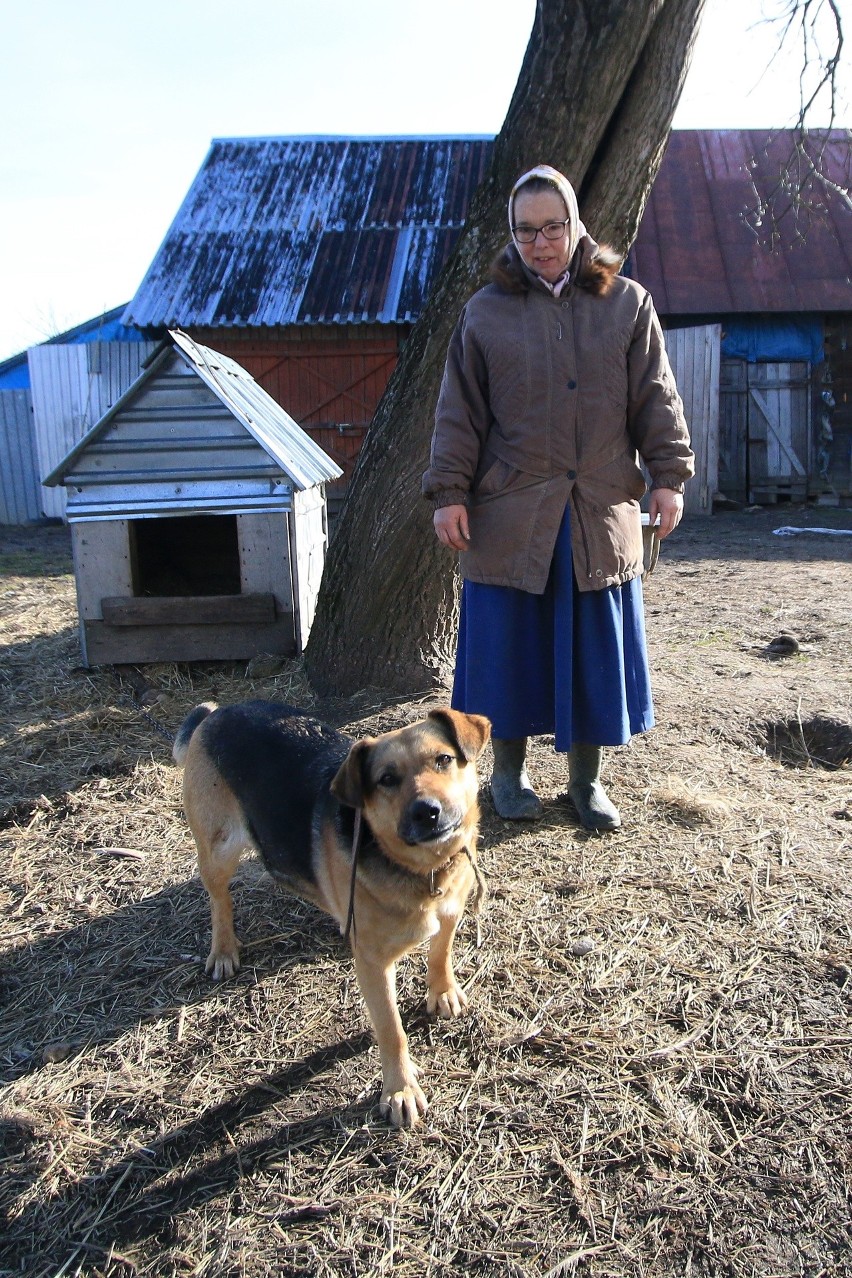 Lubelskie. Jedyna w Polsce rodzina amiszów mieszka pod Janowem Lubelskim. Zdjęcia