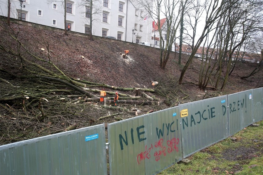 Wycinka drzew  krzewów na skarpie przy Zamku Książąt...