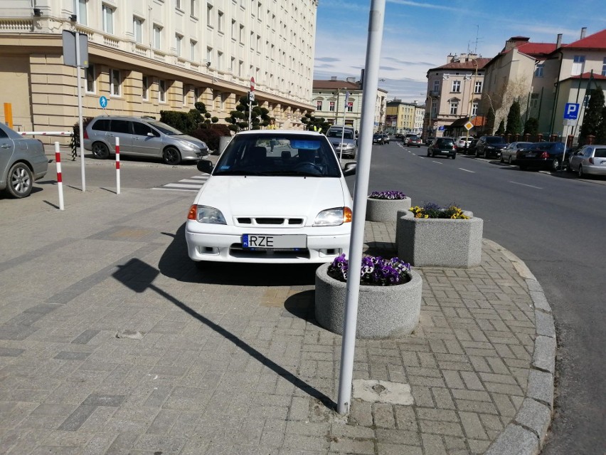 Ul. Sobieskiego, dziki parking między donicami.