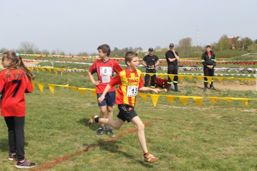 Cross Straceńców 2015. Sztafetowe Mistrzostwa Głogowa [Zdjęcia]