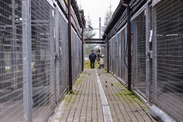 Projekt obejmie także budowę 10 nowych boksów dla psów i 3 wybiegów. Fragment terenu ma służyć jako miejsce socjalizacji psów i spotkań z rodzinami adopcyjnymi.