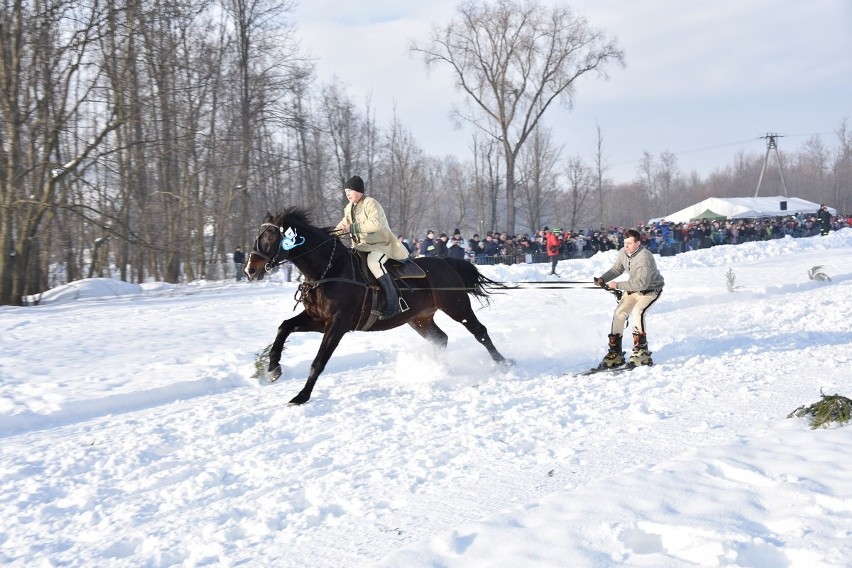 Parada Gazdowska 2019 - Biały Dunajec