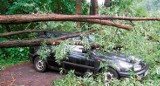Drzewa spadały na samochody [WIDEO]