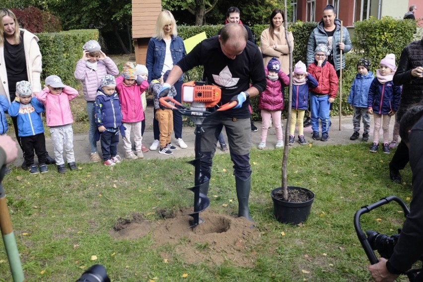 W Poznaniu zasadzono 40 drzew w 5 placówkach edukacyjnych....