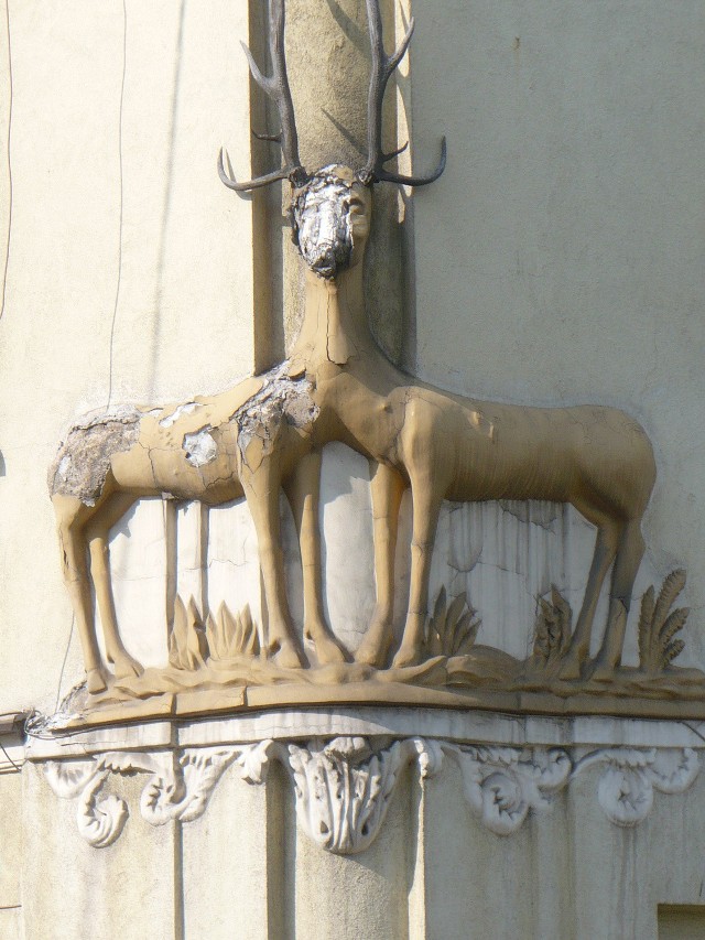 Jelonki z Rynku Podgórskiego to jeden z symboli dzielnicy