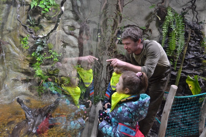 Opolskie zoo. Nowy pawilon gadów i płazów.