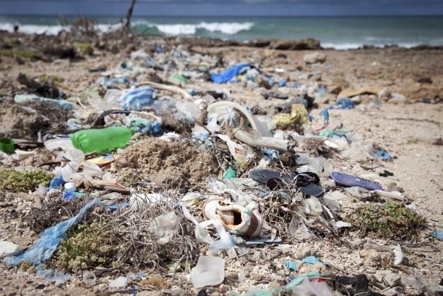 Naukowcy przekonują, że ważniejsze od czyszczenia z plastikowych śmieci oceanów jest ograniczenie produkcji przedmiotów z tego surowca.
