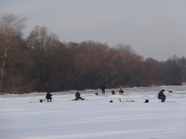 Na poznańskiej Rusałce amatorów wędkowania spod lodu nie brakuje