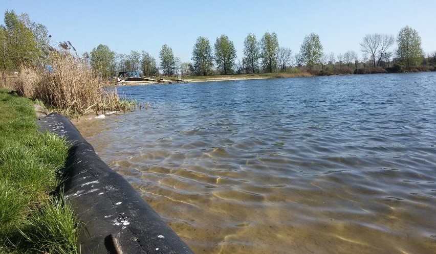 Policjanci zatrzymali 3 osoby podejrzane o wepchnięcie...