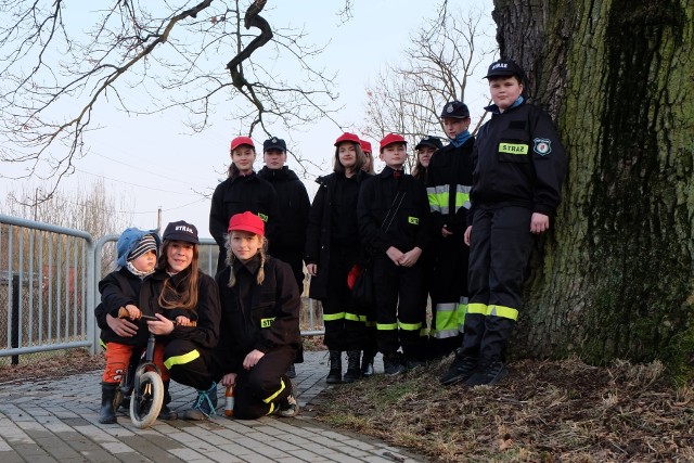 Dąb Johannes Maleus zgłosiła do konkursu Młodzieżowa Drużyna Pożarnicza Ochotniczej Straży Pożarnej w Malcu