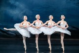 "Jezioro łabędzie" w wykonaniu The Ukrainian Ballet of Peace. Najlepsi tancerze świata wystąpią w Krakowie w 2024 roku 