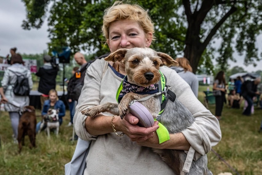 Kraków. Marsz Azylanta i psie świętowanie przy pomniku Dżoka