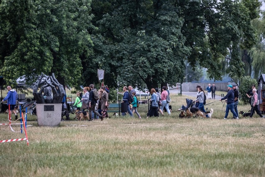 Kraków. Marsz Azylanta i psie świętowanie przy pomniku Dżoka