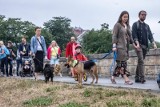 Kraków. Marsz Azylanta i psie świętowanie przy pomniku Dżoka