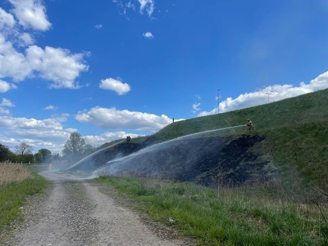 Pożar pojawił się w środę, 3 maja, na wzniesieniach na ul. Skłodowskiej-Curie i Trasie Władysława Raczkiewicza w Toruniu