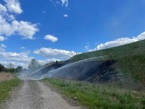 Pożar traw na ul. Marii Skłodowskiej-Curie i Trasie Władysława Raczkiewicza w Toruniu. Strażacy ugasili płomienie