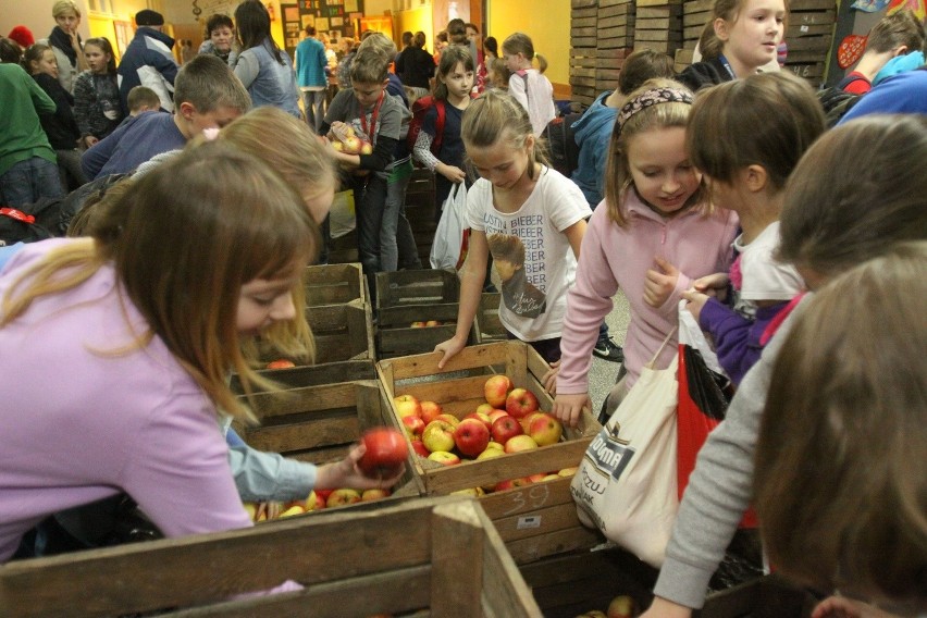 11 ton jabłek dla Szkoły Podstawowej nr 34 [ZDJĘCIA+FILM]