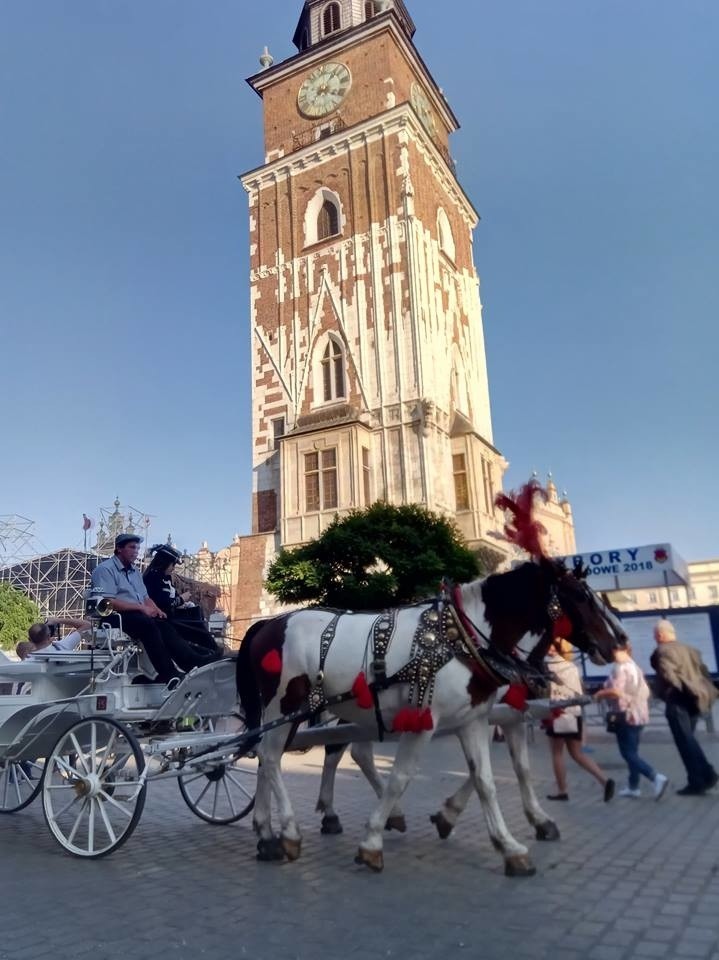 Wicestarosta Danuta Maćkowska już jest w Krakowie. Jeszcze...