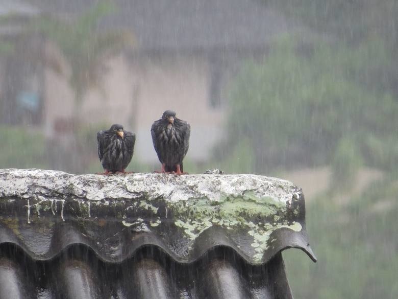 Gdzie jest burza? Burze z gradem w województwie podlaskim. Pierwszy stopień zagrożenia. Zobacz radar burzowy 19.05.2019 (zdjęcia, wideo) 