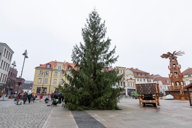 16 listopada na Starym Rynku stanęła licząca ok. 15 metrów wysokości żywa choinka. Drzewko dotarło do Bydgoszczy z Borów Tucholskich.