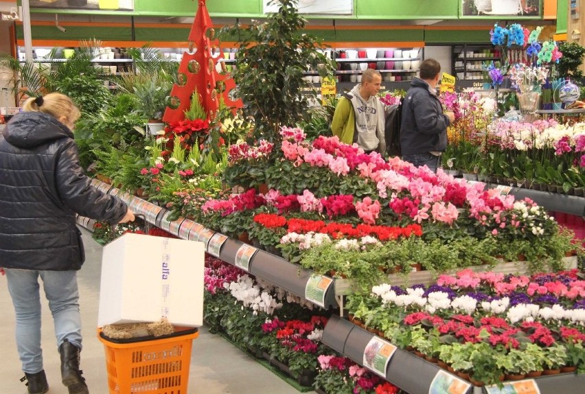 Ruszył drugi market OBI w Kielcach. Na klientów czekają rabaty [ZDJĘCIA]