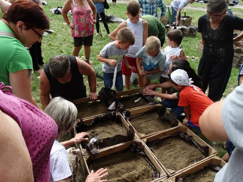 Ruda Śląska: Na Kaufhausie powstaje ogród społeczny