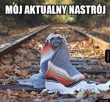 Memy o Blue Monday 2024. Najśmieszniejsze obrazki poprawią Wam humor w poniedziałek 15 stycznia, w najbardziej depresyjny dzień roku