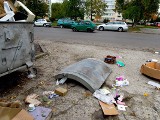 Tulipanami zaatakowali policjantów. Padły strzały (zdjęcia)