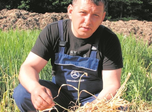 Próbki spalonego jakimś preparatem jęczmienia i gleby zostały wysłane do badań do Białegostoku - mówi Artur Koncik.