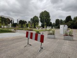 Dynie zamiast samochodów na byłym parkingu przy ul. Zawiszy Czarnego. Teraz będzie tam park