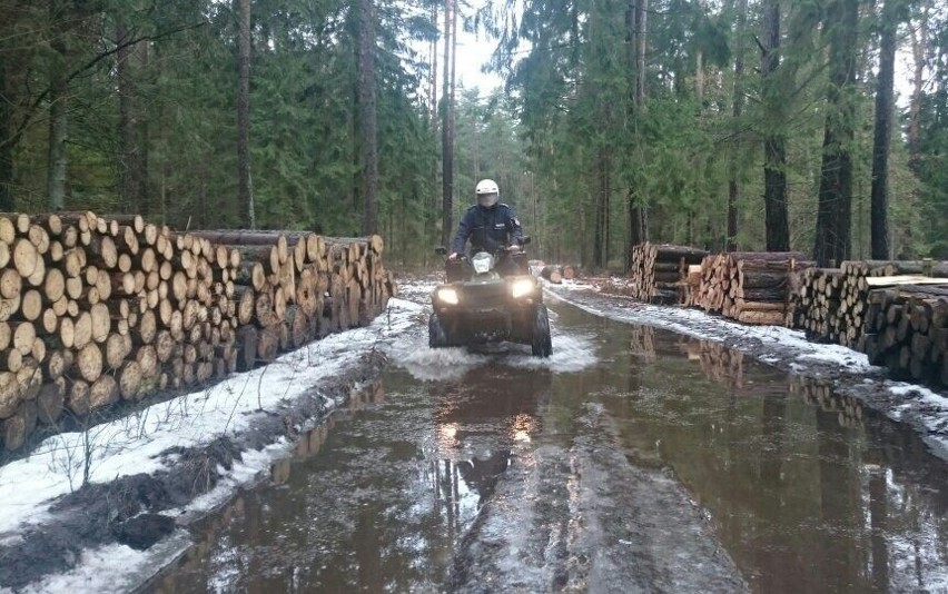 Białystok. Policjanci na quadach szukali w lasach kłusowników (zdjęcia)