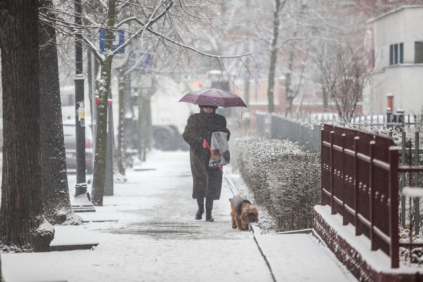 Pogoda na jesień i zimę 2022/23: GRUDZIEŃ – TEMPERATURA I...