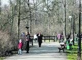 Wiosna w Poznaniu: Zobacz, gdzie wybrać się na wiosenny spacer