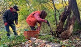 Mieszkańcy i wolontariusze sprzątali zabytkowy cmentarz w Zagórzu koło Czerwieńska