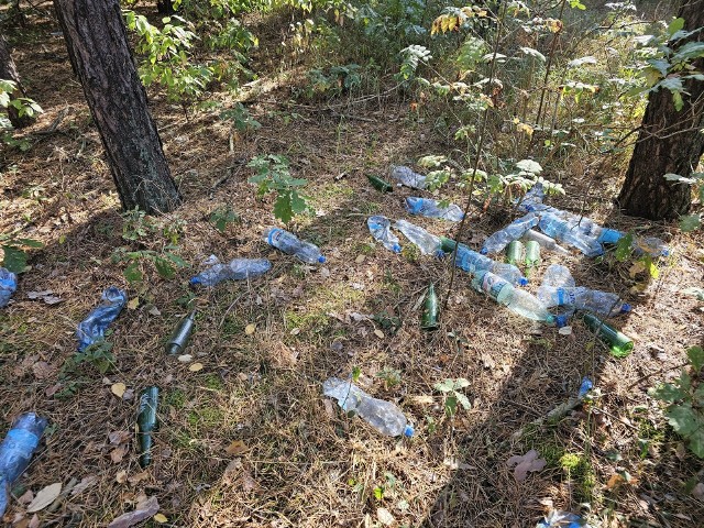 Dziesiątki plastikowych i szklanych butelek leżą pod nogami spacerujących w lasku obok ul. Olimpijskiej. Urzędnicy zapewniają, że bałagan zgłoszono i będzie posprzątany jak najszybciej.