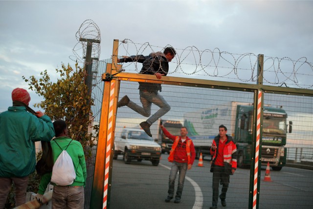 Francja, Calais. Imigrant przeskakuje ogrodzenie, by dotrzeć do eurotunelu.