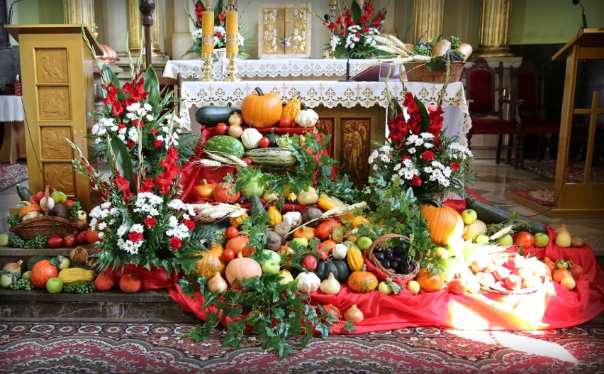 Msza święta dożynkowa w kazimierskim kościele. Ołtarz niemal „utonął” w kwiatach i płodach ziemi. Wyglądał pięknie [ZDJĘCIA] 