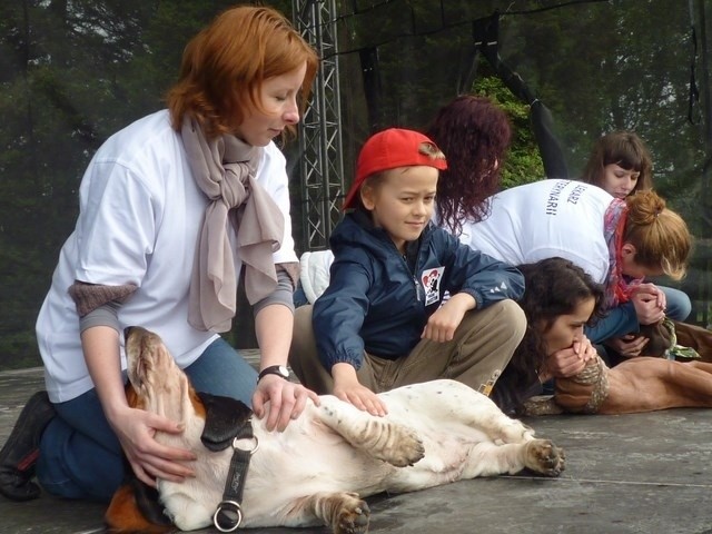 Zwierzynalia 2013 w Parku Śląskim