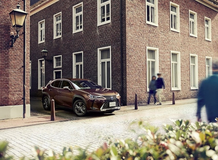 Lexus UX Brown Edition...