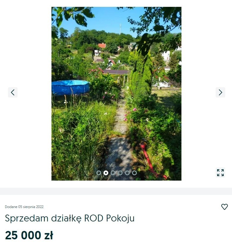 Ogródki działkowe w Szczecinie są bardzo popularne. Wiele...