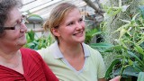 Ogród botaniczny remontuje storczykarnię i sprzedaje rośliny
