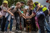 Aktywni Błękitni! Bezpiecznie nad wodą. Finał akcji dla dzieci nad Wisłą w Krakowie