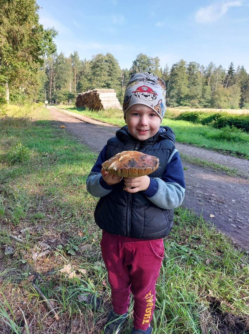 Zadowoleni grzybiarze wysłali nam zdjęcia swoich...