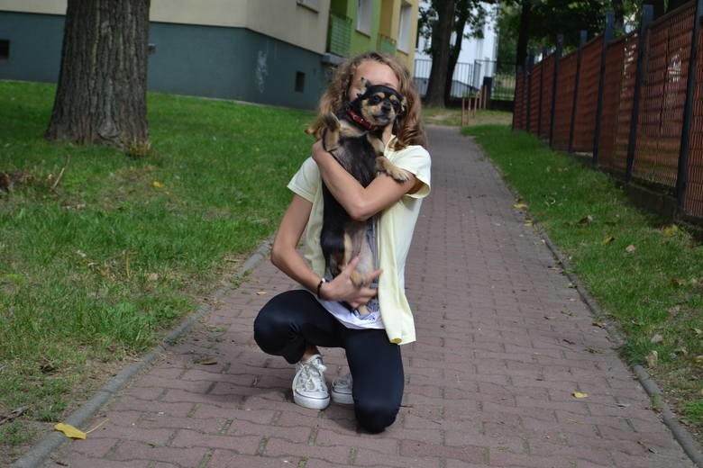12-latka z Częstochowy chce wyprowadzać psy za pieniądze i...