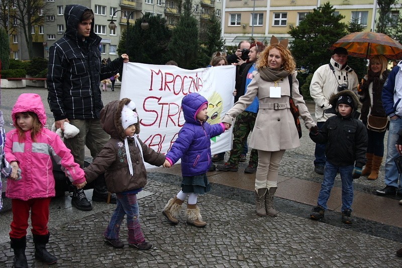 Dzień Pluszowego Misia