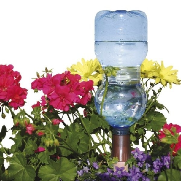 Do podlewania kwiatów można także wykorzystać zwykłą butelkę, plastikową albo szklaną.