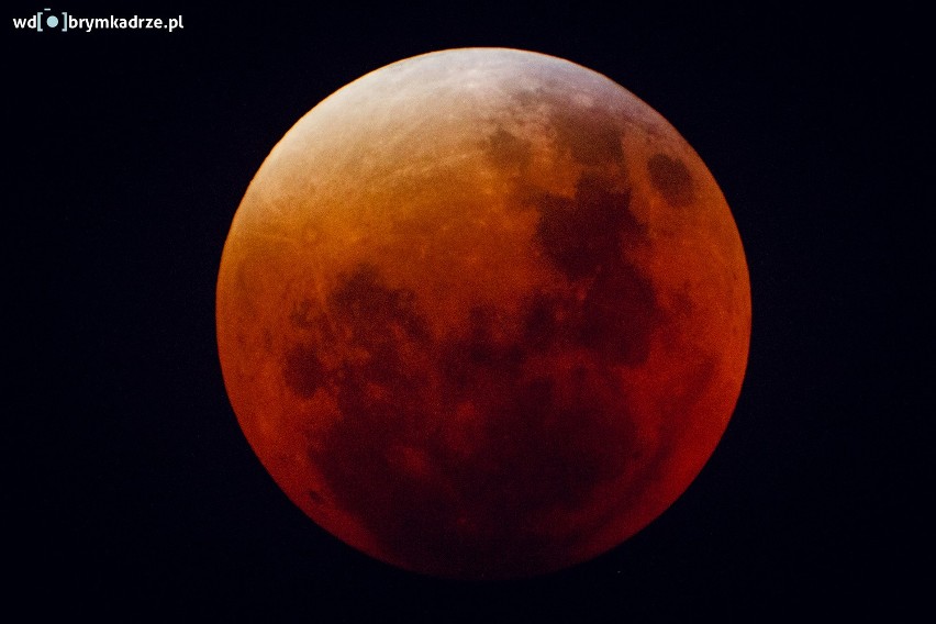 Krwawy księżyc ZDJĘCIA. Zaćmienie superksiężyca 2015