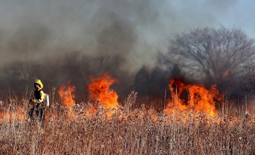 W powiecie kazimierskim pożar traw zajął ponad 11 hektarów,...
