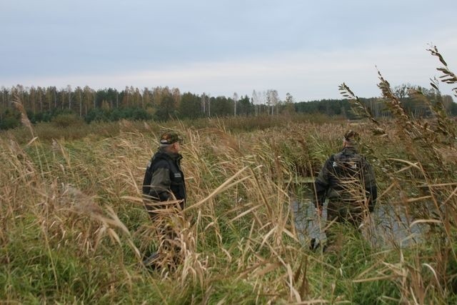 Działania bielskiej Policji i przedstawicieli straży...