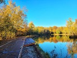 Kraków. Park rzeczny Tetmajera będzie gotowy do końca roku. Zobacz postęp prac